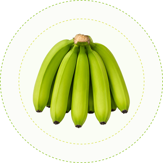 Nải chuối Cavendish (Chuối già Nam Mỹ)