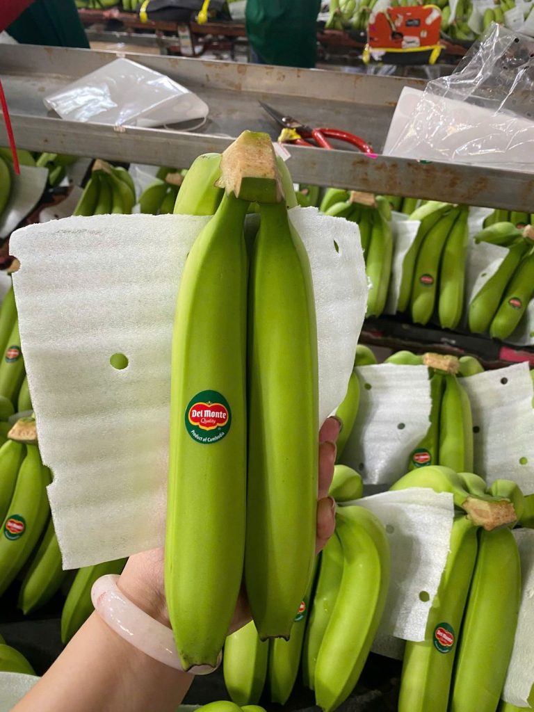 Mộc Đỉnh Dương