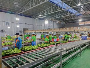 Mộc Đỉnh Dương