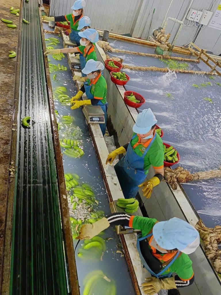 Mộc Đỉnh Dương