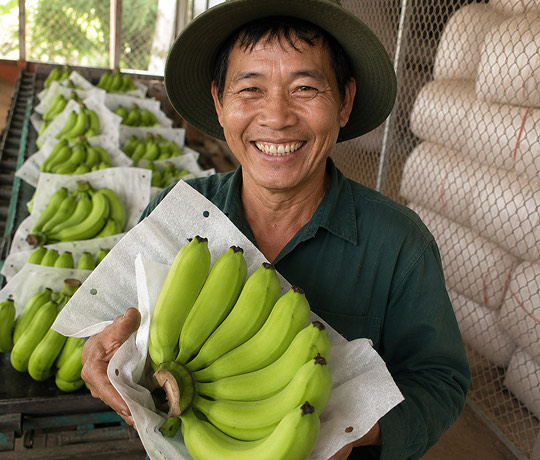 Mộc Đỉnh Dương